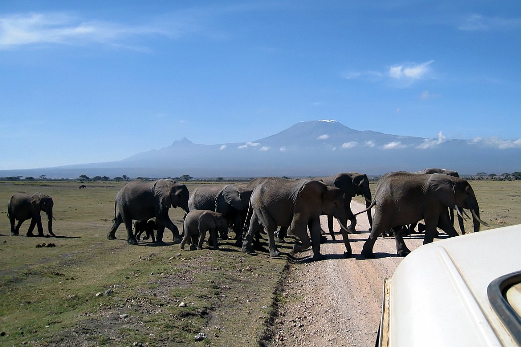 Kenia (142).jpg